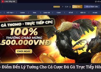 Trải Nghiệm Đỉnh Cao Trong Thế Giới Đá Gà Tại MCW